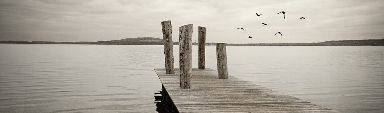 Anonyme Bestattung in Fulda